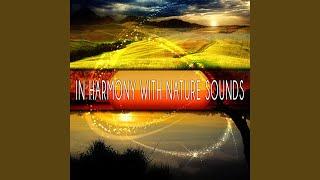 Nature Soundscapes