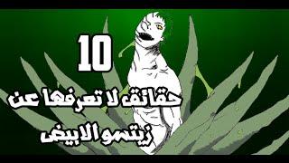 10 حقائق قد لا تعرفها عن زيتسو الابيض!.