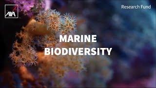 Marine Biodiversity: Helping Us to Learn and Adapt to Climate Change | AXA Research Fund