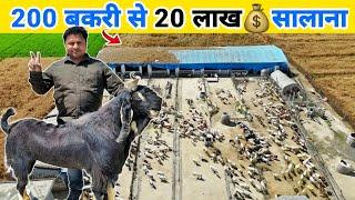 इंजीनियर साहब का शानदार बकरी फार्म | Job छोड़ शुरू किया Goat farming