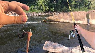 This Spillway was Hiding 2 Personal Bests! (Iowa River Fishing)