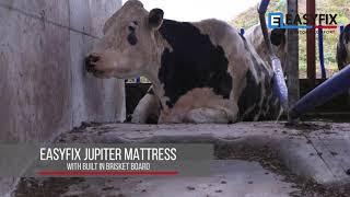 EASYFIX Dairy Housing Solutions | Superior Cow Comfort | Waters Farm, Kildare, Ireland