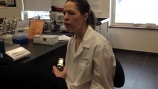 CSI Holland College