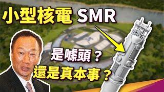 最安全的核電廠？郭董提的小型核電廠SMR，在中國已有併網發電實例！用發電量換安全性，真的遇到停電也不怕？