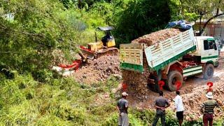 Nicely First Start a New PROJECT!! Strongly Remove The Big Trees & Landfill by Dozer With Dump-Truck