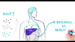 WE ARE NOT ALONE: How the Human "Planet" Is Colonized and a Gut Microbiome Is Built