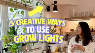 5 creative ways to use grow lights | Houseplanted