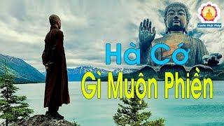 CUỘC ĐỜI NÀY HÀ CỚ CHI PHẢI MUỘN PHIỀN - #Mới