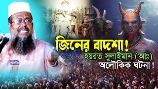 জ্বীনের বাদশা সুলাইমান (রা.) এর অলৌকিক ঘটনা । তোফাজ্জল হোসেন ভৈরবী । tofazzal hossain | Bangla Waz |