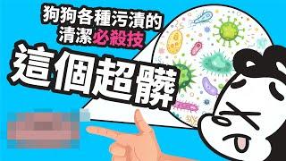 狗與鹿｜這個東西四小時不洗，細菌量暴增100倍！｜狗生各種污漬的清潔小撇步，便便、尿尿、嘔吐、血漬全都掰掰～