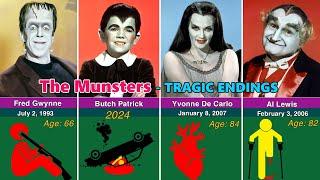 How the 29 Members of the The Munsters Cast Tragically Died?