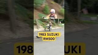 1983 SUZUKI RM500 TWO-STROKE RM-ZILLA 