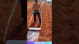 GENIUS Farming Hack! You Won't Believe How He Lays This Plastic! #farminghacks #diy #lifehack
