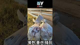 [뉴스 와이] 북한 쓰레기 풍선 테러 #shorts_video #뉴스 #쓰레기 #북한