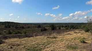 Lüneburger Heide / Lüneburg Heath (Germany) - A long hike from Handeloh to Schneverdingen