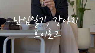 [난임일기] 자궁내막 두껍게 만드는 중. 프로기노바 부작용? 남양주 별내 카페, 빈티지샵, 일상 브이로그 :: 드는 deneun Vlog10