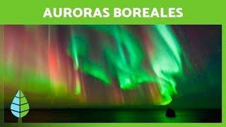 AURORAS BOREALES ¿Qué son y Cómo se forman? 