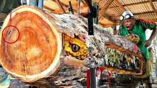 Surprising Architectural Mysteries in Teak Wood at the Sawmill