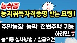 농취증! 농지취득자격증명 받는 요령, 심사요령, 발급요건