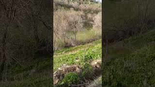 ۵ کاری که اگر انجام ندی بازدید پیج اینستاگرام  کم و کمتر میشه #بازدید #اینستاگرام