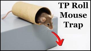 The Toilet Paper Roll Mouse Trap - Does This Simple DIY Mouse Trap Actually  Work? Mousetrap Monday