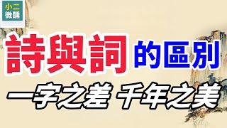 詩與詞的區別究竟在哪？詩與詞的較量，一字之差，不同魅力，千年之美！