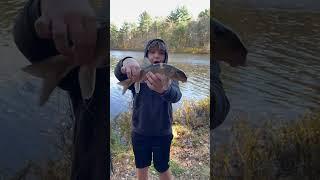 Insane Sucker Catch! #fishing #shorts