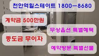 힐스테이트천안역스카이움 1800-8680