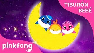 Boa Noite Bebê Tubarão | Baby Shark | Canção de Ninar | Pinkfong Canções para Crianças