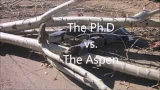 The Ph.D vs. The Aspen