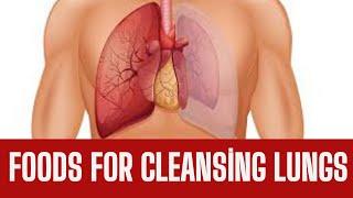 Top  Foods For Lung Health / Best Foods for Healthy Lungs /Healthy lungs Diet/ Lung Detox