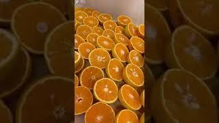 Making orange juice so I can buy more oranges 