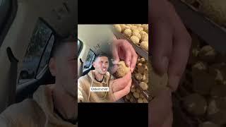 King Zippy Handmade Life Skills #kingzippy #diyforkids #asmr  #Recipe #shorts #zach839 #shortvideo
