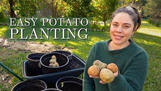 Simple Potato Growing in Pots vs. In the Ground  Easy Potato Growing Tips