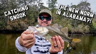 The FUTURE of ALABAMA FISHING?! Catching Snook in Alabama