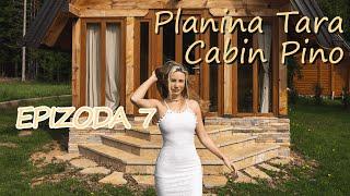 Epizoda 7: Planina Tara || Cabin Pino || 4K