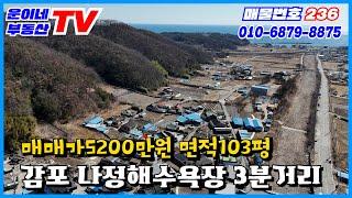 236 경주시 감포읍 전동리 (저렴한 가격에 주말농장,세컨하우스,전원주택 최적지)