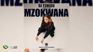 Dj Tshegu Ft. Sims Noreng - Mzokwana (Official Audio)