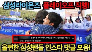 삼성라이온즈 플레이오프 직행! 울뻔한 삼성팬들 댓글 모음!