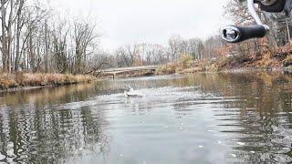 Catching Some New Species In Ohio's Lake Erie Tributary In November!!!