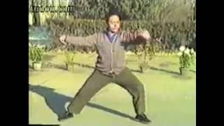 Feng Zhi Qiang - Chen style Taijiquan Er Lu Pao Chui