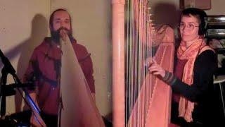 Magical Harmony: Didgeridoo, Cajon & Harp Live Jam