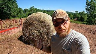 Can You Wrap Hay For Horses?