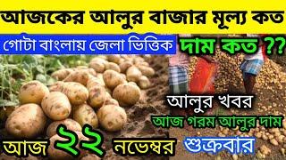 আলুর বর্তমান পরিস্থিতি I Current Situation of Potatos in Bengal  Indian Potato News 22/11/24