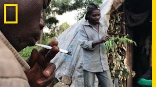 Risking Arrest, Pygmies Deal Weed to Survive in the Congo | National Geographic