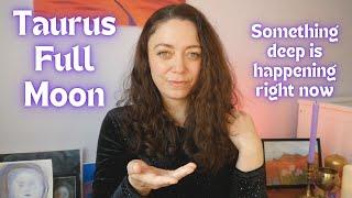 TAURUS FULL MOON | What sensitives can do during this time of shift | Nov. 15, 2024