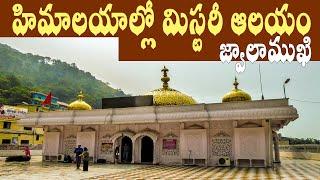 జ్వాలాముఖి ఆలయం మిస్టరీ/Jwalamukhi temple The most mystery temple kangra Jammu Kashmir/jwala devi