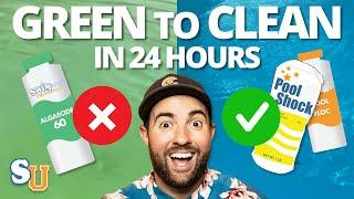 Clear Up a GREEN POOL in 24 Hours (With NO Algaecide) | Swim University