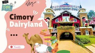 Cimory Dairyland Puncak Bogor Terbaru | Review Lengkap Semua Wahana Cimory Dairyland