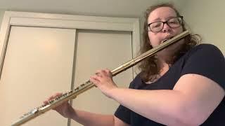 Selena Gomez - Let Me Get Me - Alto Flute Cover - Hannah Haefele